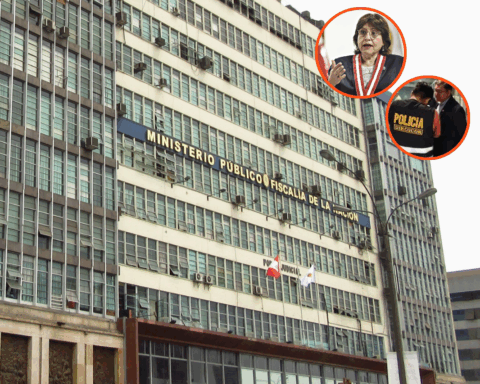 [Ilustración: Alexandra Jave]